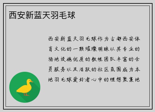 西安新蓝天羽毛球