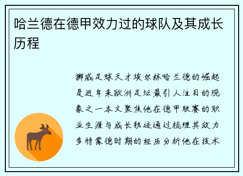 哈兰德在德甲效力过的球队及其成长历程