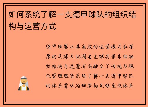 如何系统了解一支德甲球队的组织结构与运营方式